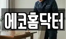 에코홈닥터