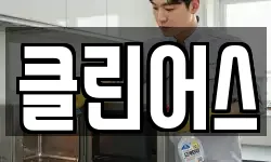 클린어스