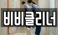 비비클리너