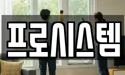 프로시스템