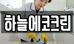 하늘에코크린