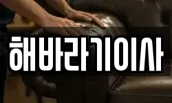 해바라기이사