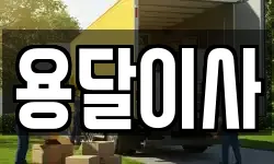 용달이사