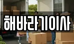해바라기이사