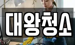 대왕청소