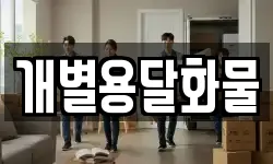 개별용달화물