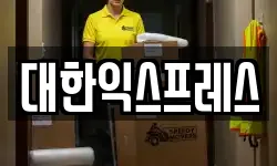 대한익스프레스