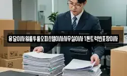 용달이사원룸투룸오피스텔이사사무실이사1톤트럭반포장이사