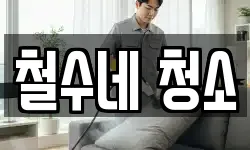 철수네 청소