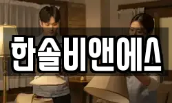 한솔비앤에스