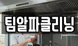 팀알파클리닝