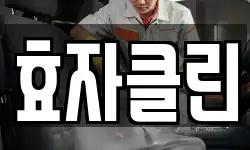 효자클린