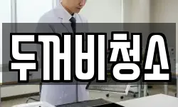 두꺼비청소