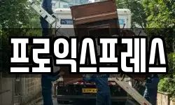 프로익스프레스