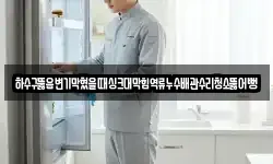 하수구뚫음변기막혔을때싱크대막힘역류누수배관수리청소뚫어뻥