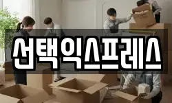 선택익스프레스