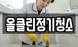 올클린정기청소