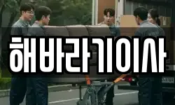 해바라기이사