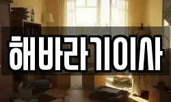해바라기이사
