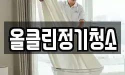 올클린정기청소