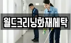 월드크리닝화재세탁