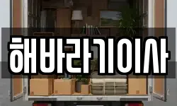 해바라기이사