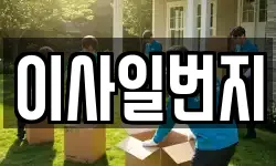 이사일번지