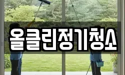 올클린정기청소