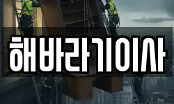 해바라기이사