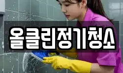 올클린정기청소