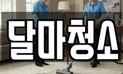달마청소