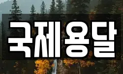 국제용달