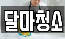달마청소
