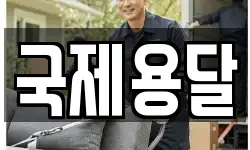 국제용달