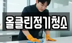 올클린정기청소