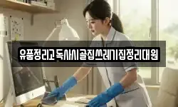 전북특별자치도 전주시 완산구 동완산동 청소,입주청소,사무실청소,에어컨청소