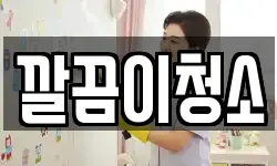 깔끔이청소