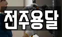 전주용달