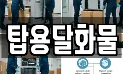 탑용달화물