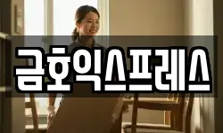 금호익스프레스