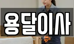 용달이사