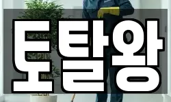토탈왕