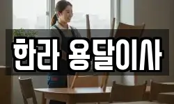 한라 용달이사