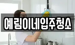 예림이네입주청소