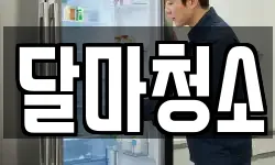 달마청소
