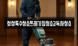 정성특수청소쓰레기집청소고독사청소
