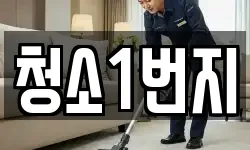 청소1번지