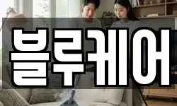 블루케어