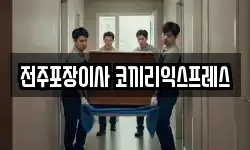 전주포장이사 코끼리익스프레스