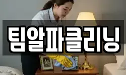 팀알파클리닝
